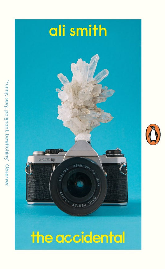 The Accidental book cover