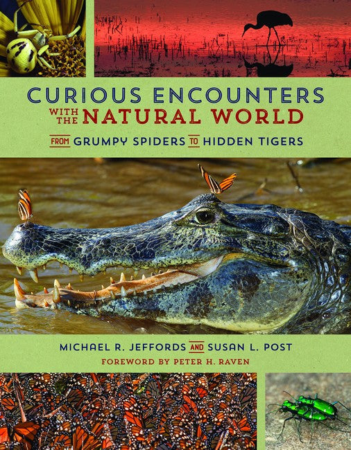 Curious Encounters with the Natural World cover