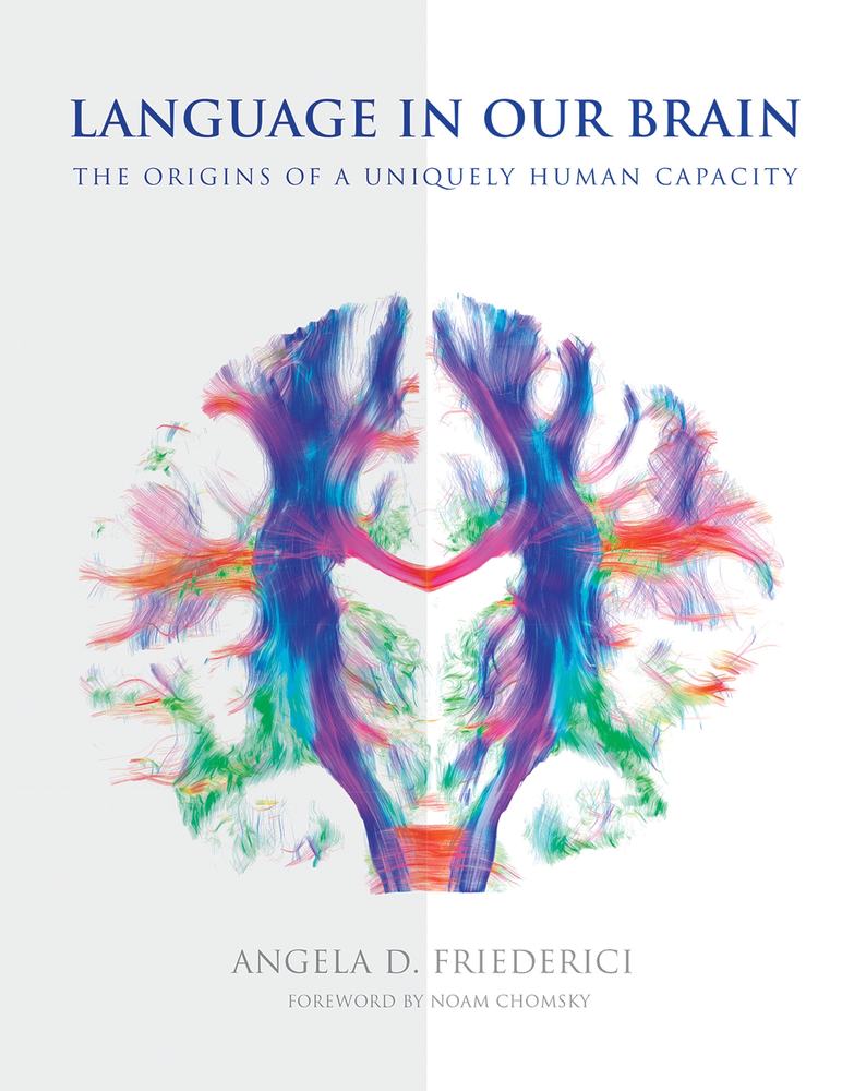 Language in Our Brain book cover