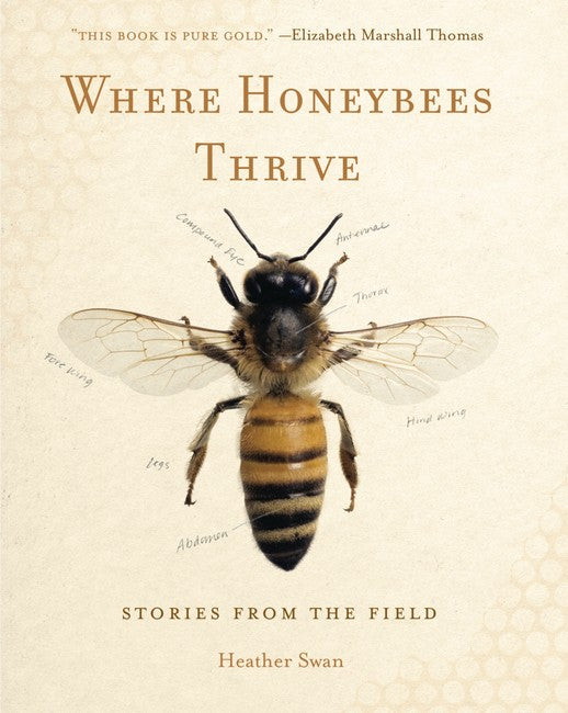 Where Honeybees Thrive:: Stories from the Field