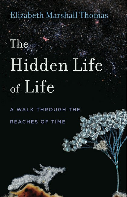 The Hidden Life of Life cover