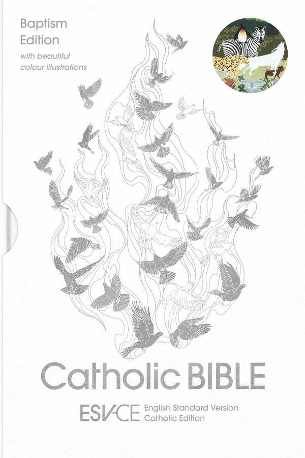 Catholic Bible, Anglicized Baptism Edition - ESV-CE (English Standard Version - Catholic Edition) cover