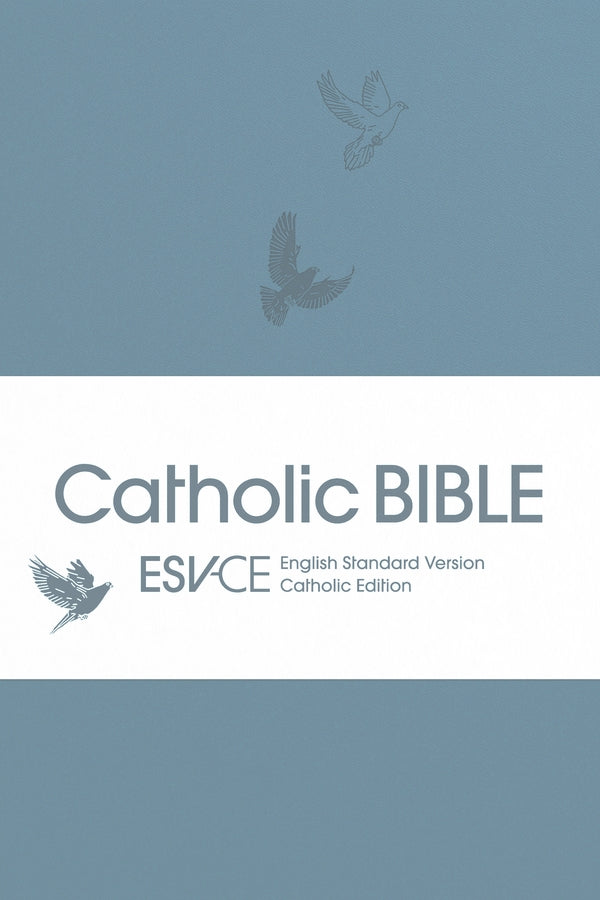 Catholic Bible, Anglicized (ESV-CE English Standard Version - Catholic Edition) Soft-tone Flexiback Binding cover