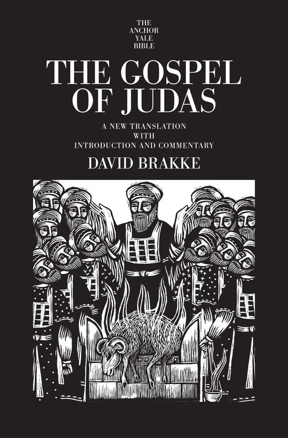 The Anchor Yale Bible Commentaries cover