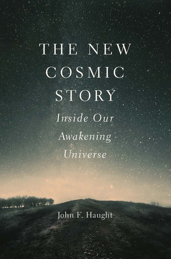 The New Cosmic Story: Inside Our Awakening Universe cover