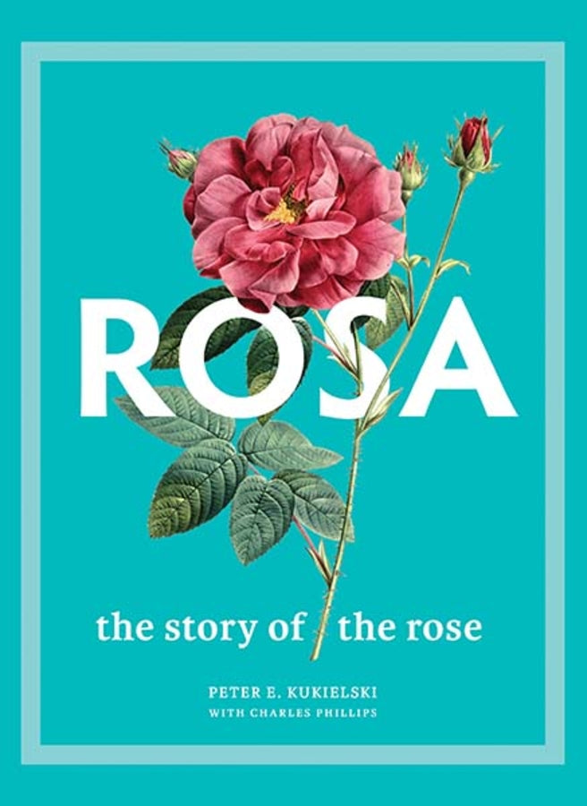 Rosa: The Story of the Rose cover