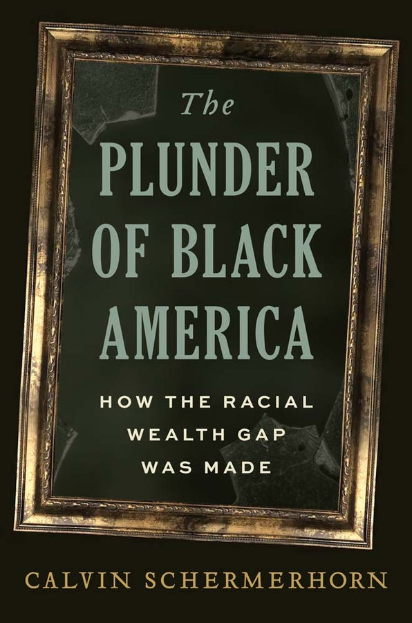 The Plunder of Black America: How the Racial Wealth Gap Was Made cover