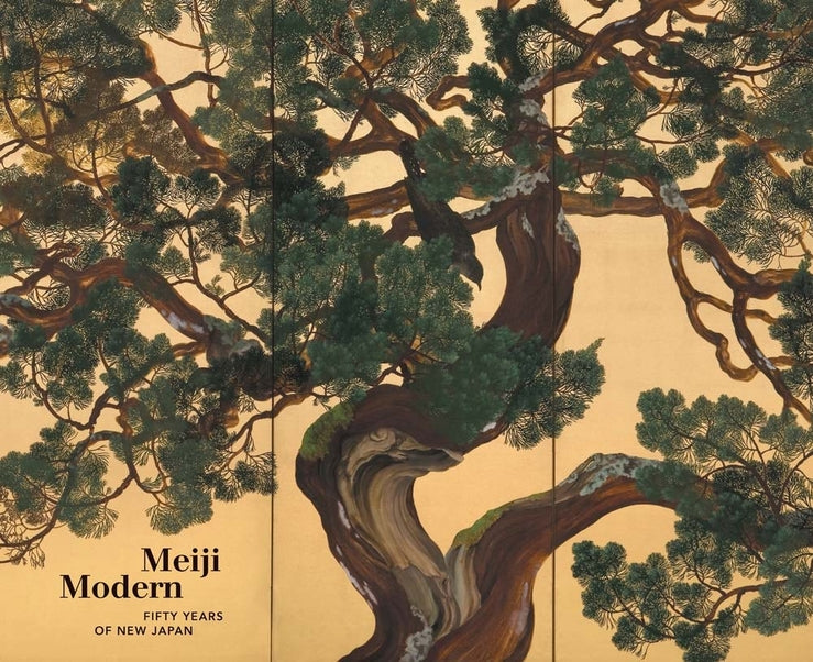 Meiji Modern: Fifty Years of New Japan cover