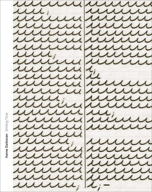 Menil Drawing Institute Series cover