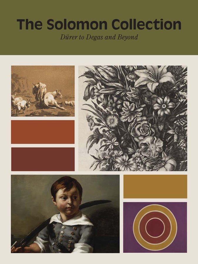 The Solomon Collection: Durer to Degas and Beyond cover