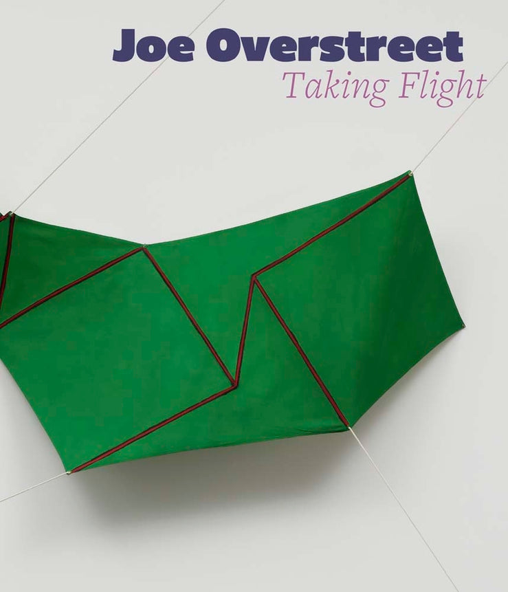 Joe Overstreet: Taking Flight cover