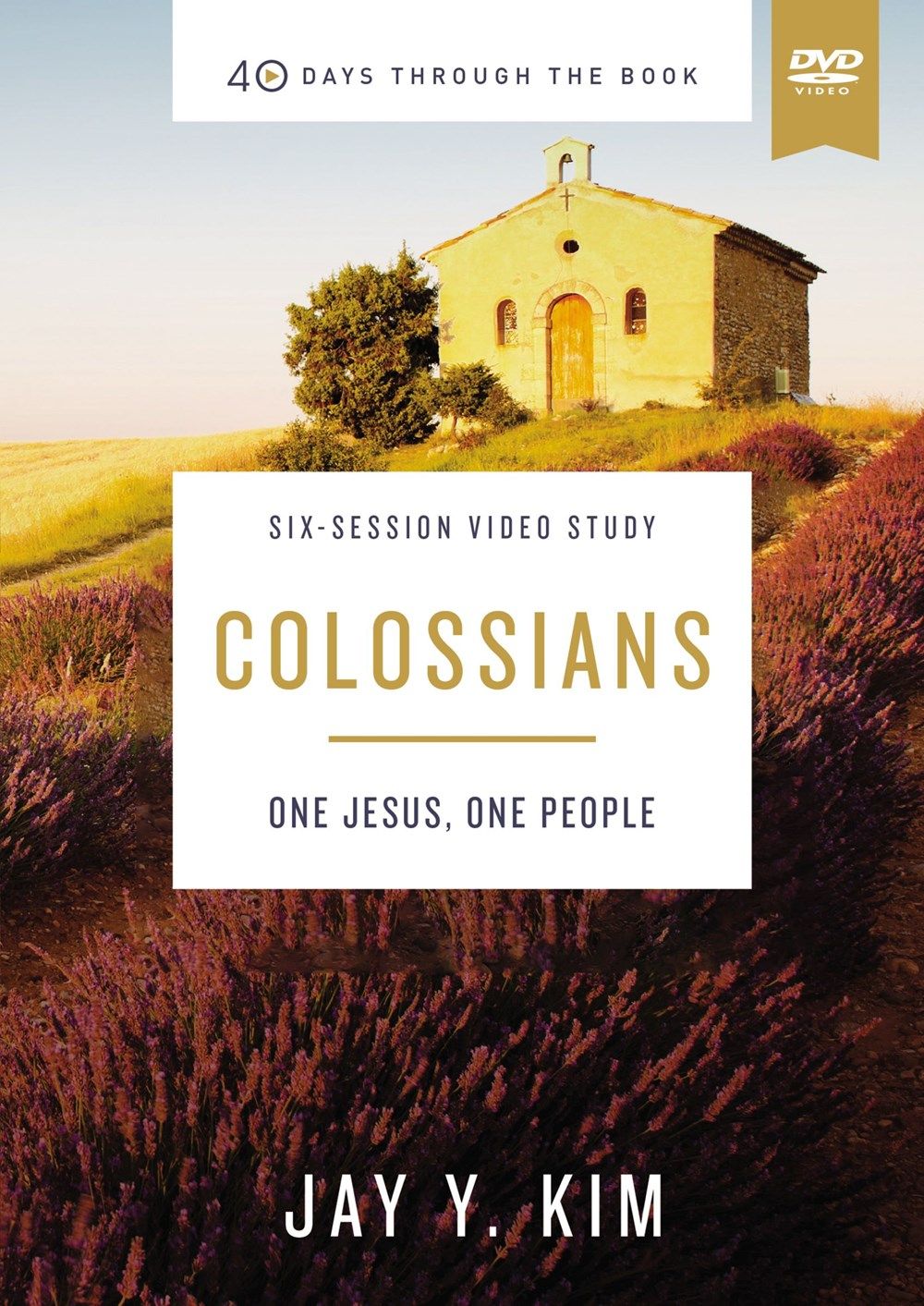 Colossians Video Study: One Jesus, One People