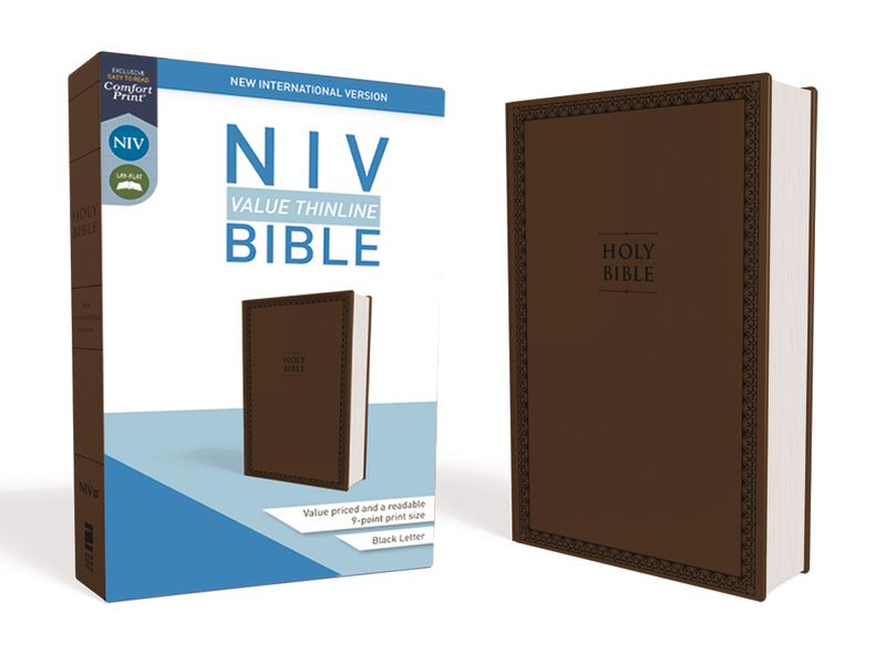 NIV Value Thinline Bible [Brown]