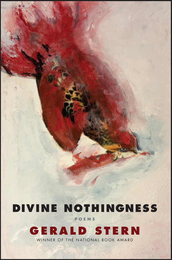 Divine Nothingness Poems cover