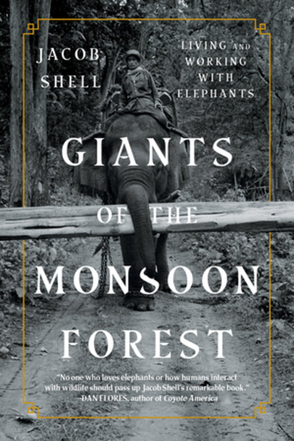 Giants of the Monsoon Forest: Living and Working with Elephants cover