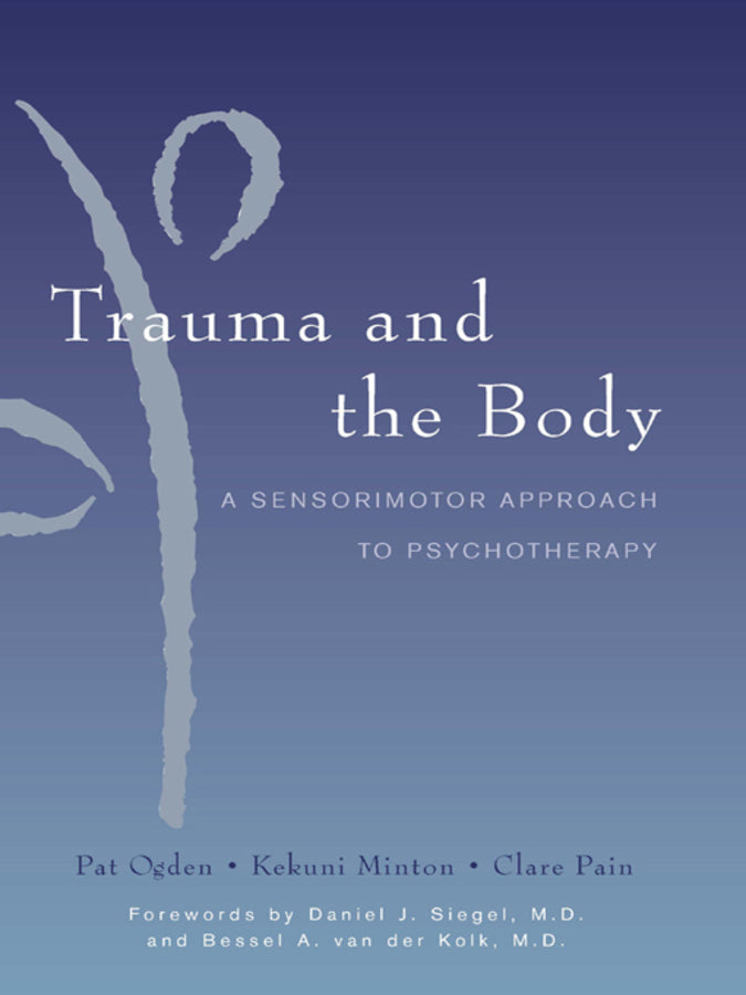 Norton Series on Interpersonal Neurobiology cover
