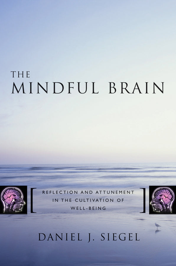 Norton Series on Interpersonal Neurobiology cover