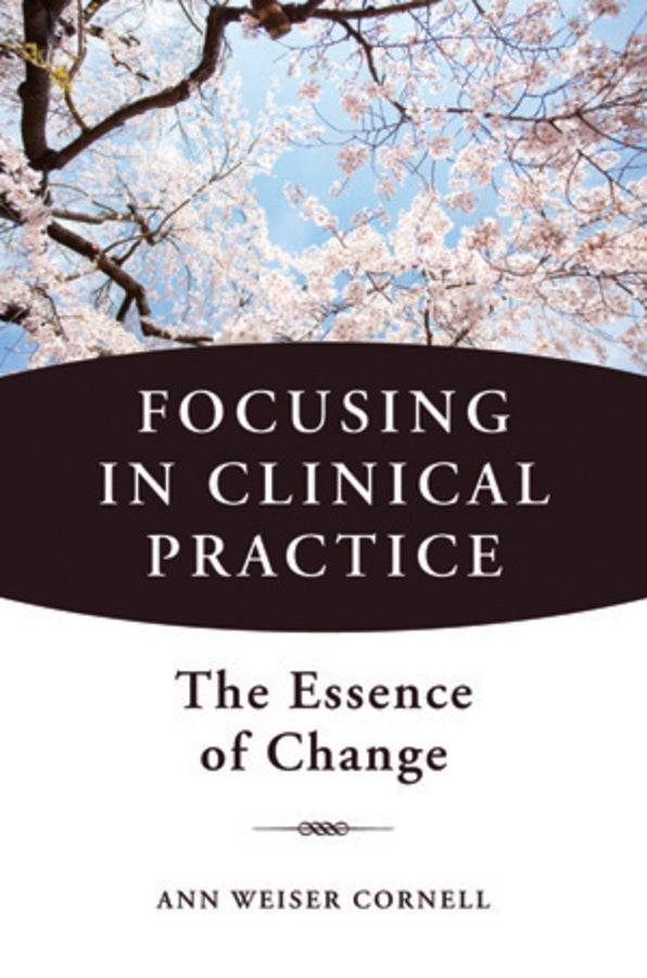 Focusing in Clinical Practice: The Essence of Change cover