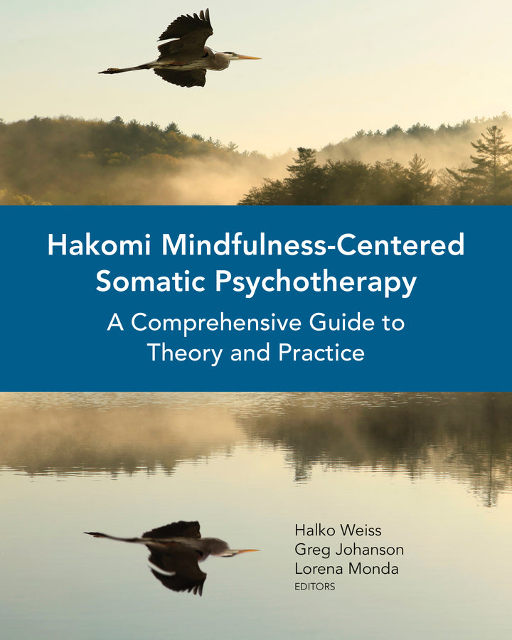 Hakomi Mindfulness-Centered Somatic Psychotherapy: A Comprehensive Guide to Theory and Practice cover