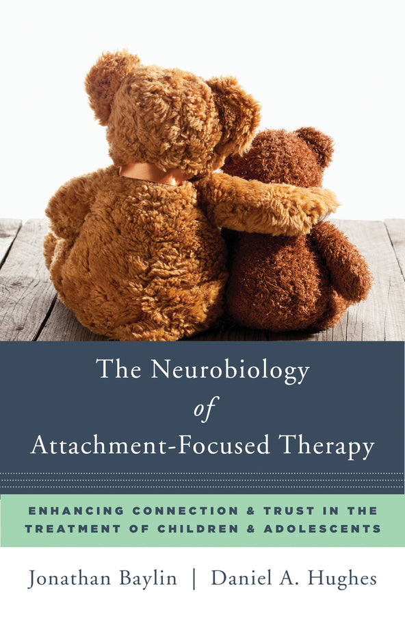 Norton Series on Interpersonal Neurobiology cover