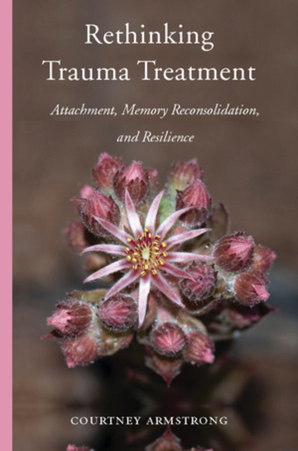 Rethinking Trauma Treatment: Attachment, Memory Reconsolidation, and Resilience cover