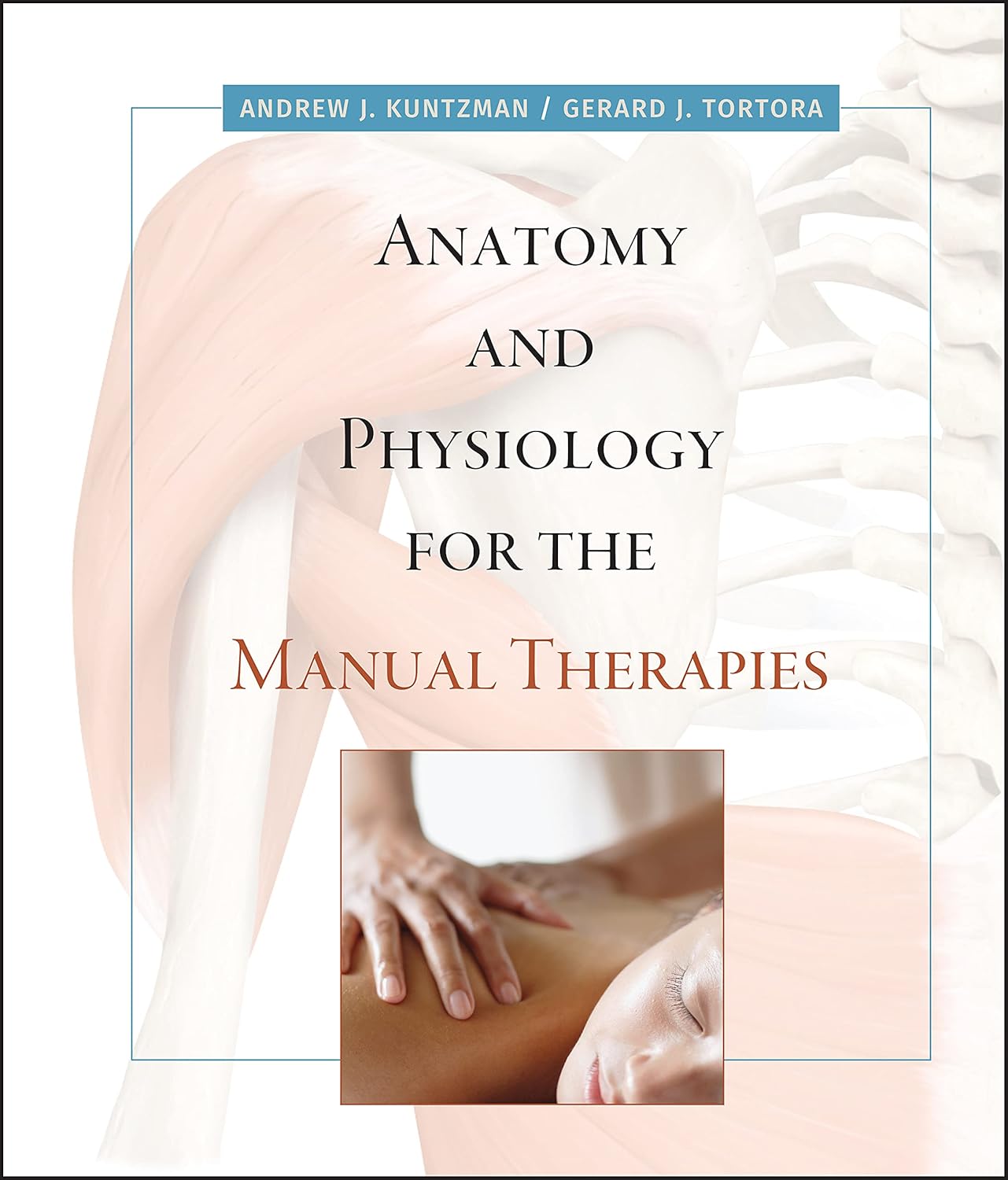 Anatomy and Physiology for the Manual Therapies cover