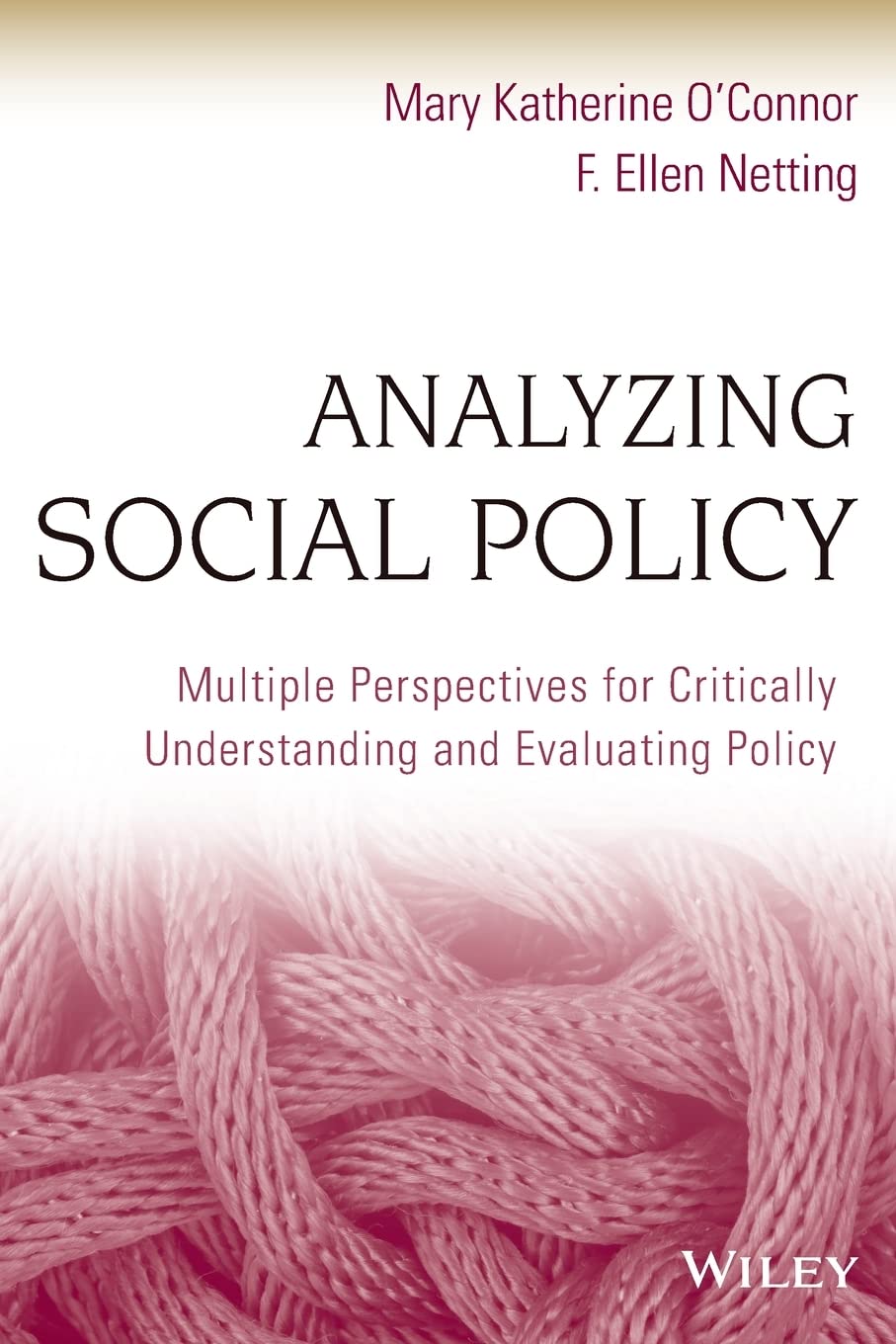 Analyzing Social Policy: Multiple Perspectives for Critically Understanding and Evaluating Policy cover