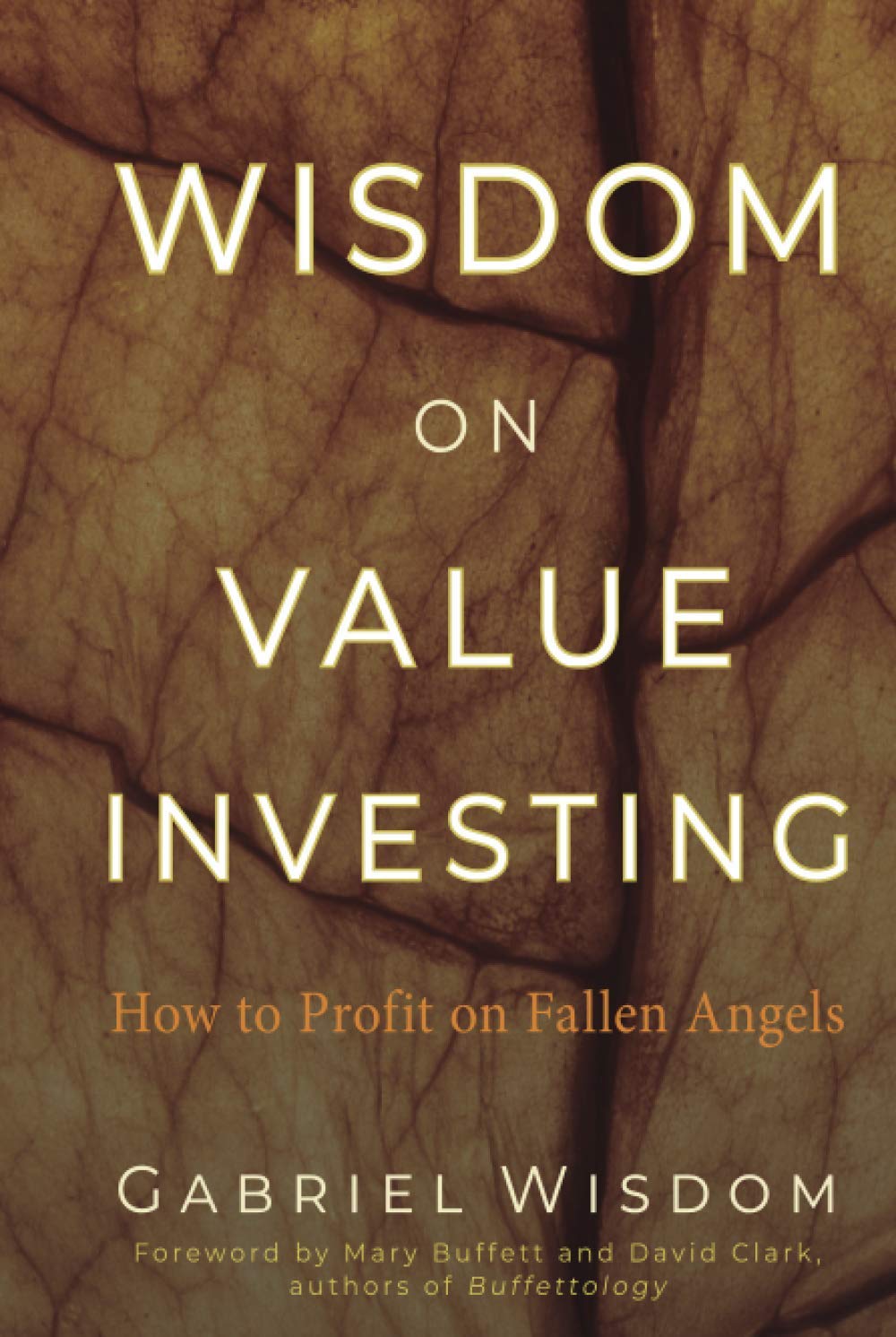 Wisdom on Value Investing: How to Profit on Fallen Angels cover