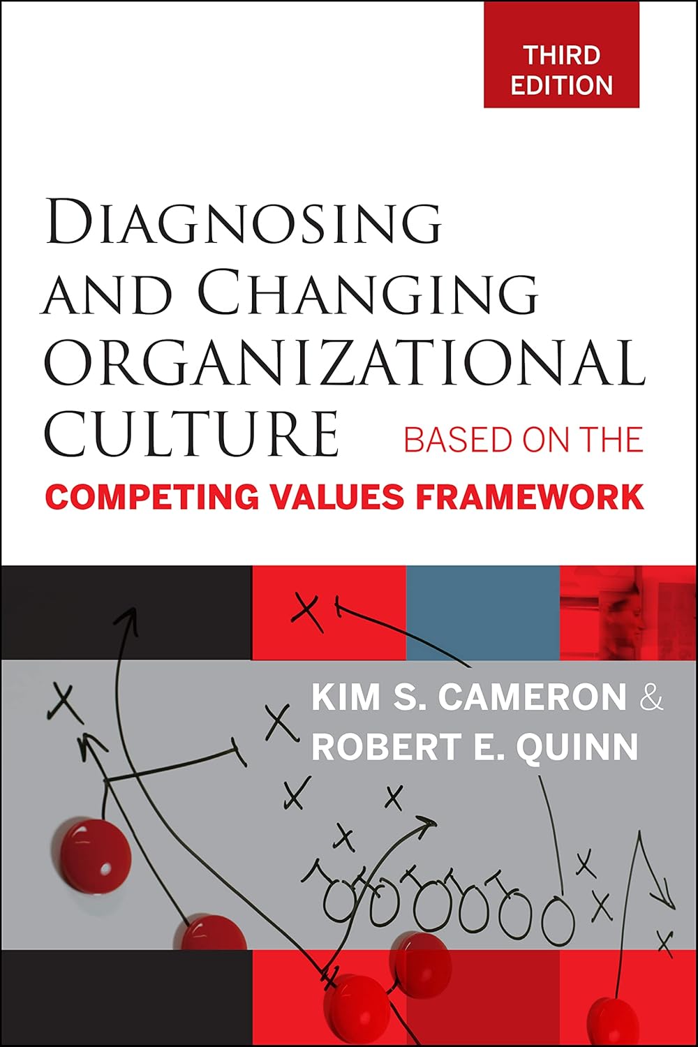 Diagnosing and Changing Organizational Culture: Based on the Competing Values Framework cover