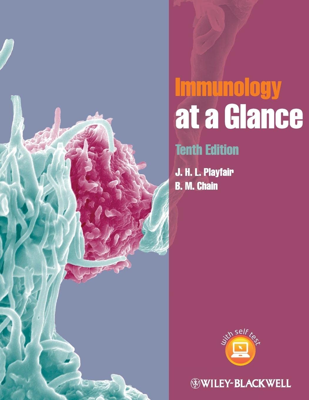 At a Glance cover