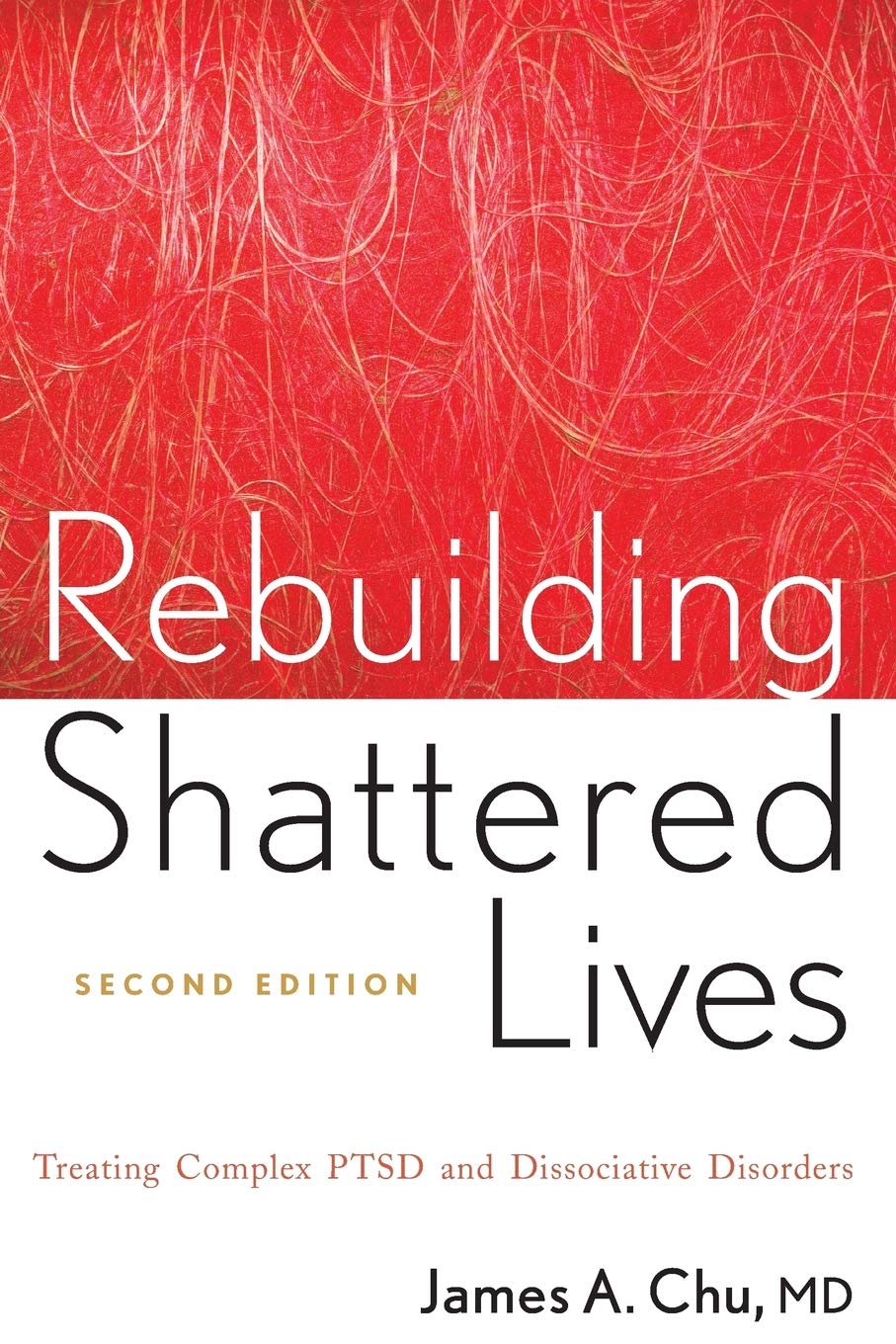 Rebuilding Shattered Lives