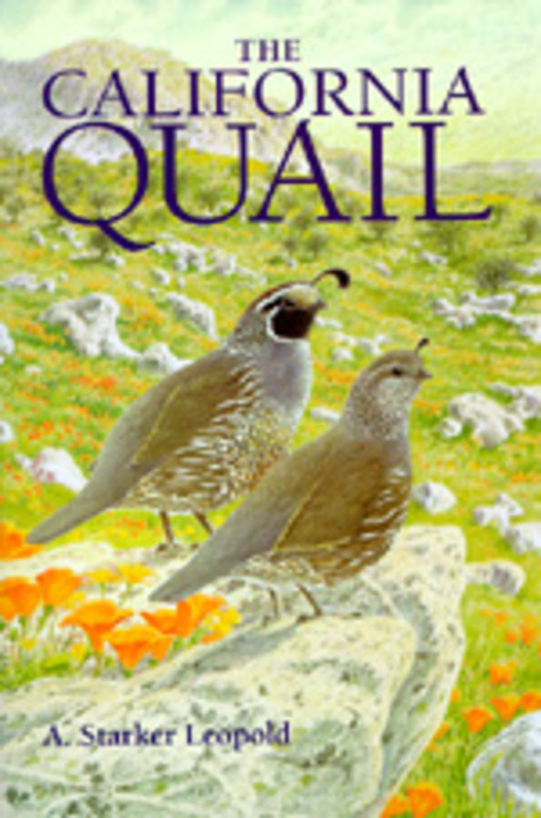 The California Quail cover