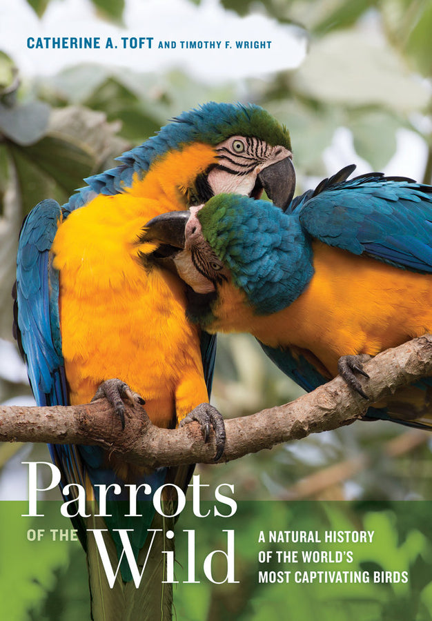 Parrots of the Wild: A Natural History of the World's Most Captivating Birds cover