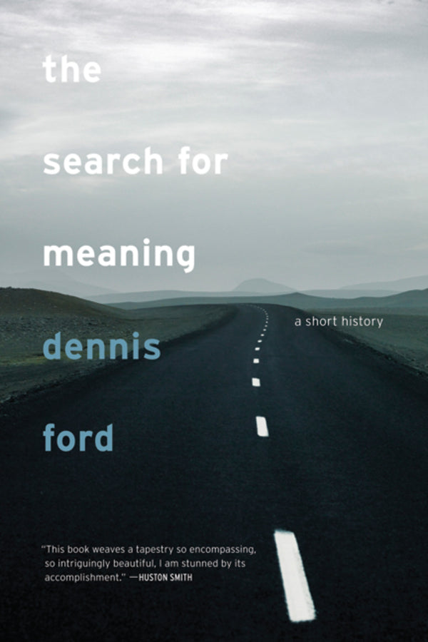 The Search for Meaning: A Short History cover