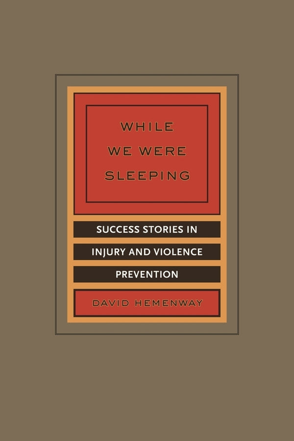 While We Were Sleeping: Success Stories in Injury and Violence Prevention cover
