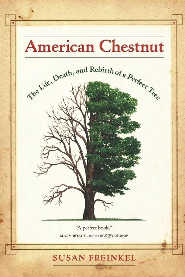 American Chestnut: The Life, Death, and Rebirth of a Perfect Tree cover