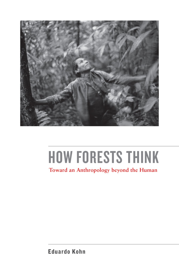 How Forests Think