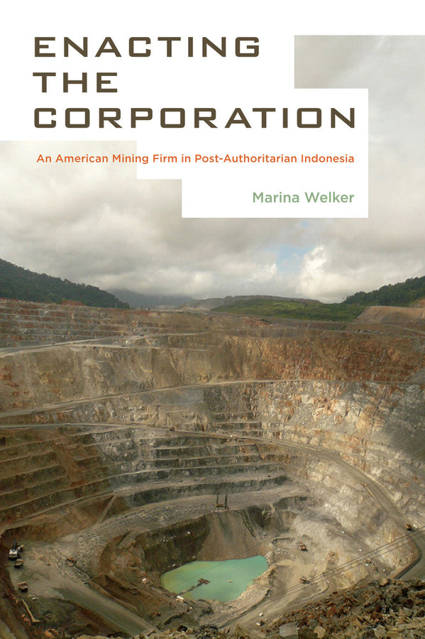 Enacting the Corporation: An American Mining Firm in Post-Authoritarian Indonesia cover