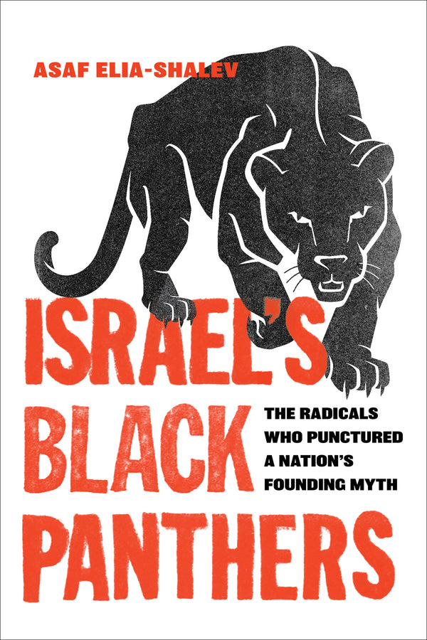 Israel's Black Panthers: The Radicals Who Punctured a Nation's Founding Myth cover