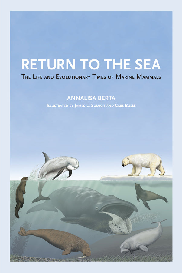 Return to the Sea: The Life and Evolutionary Times of Marine Mammals cover