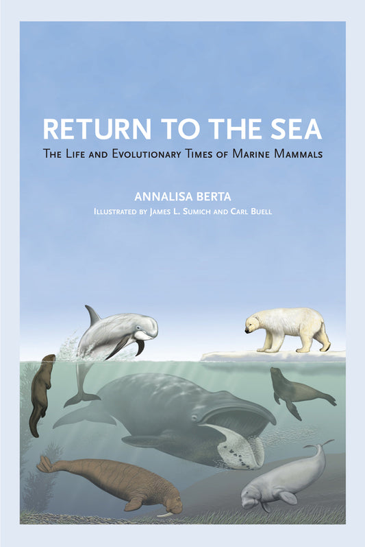 Return to the Sea: The Life and Evolutionary Times of Marine Mammals cover