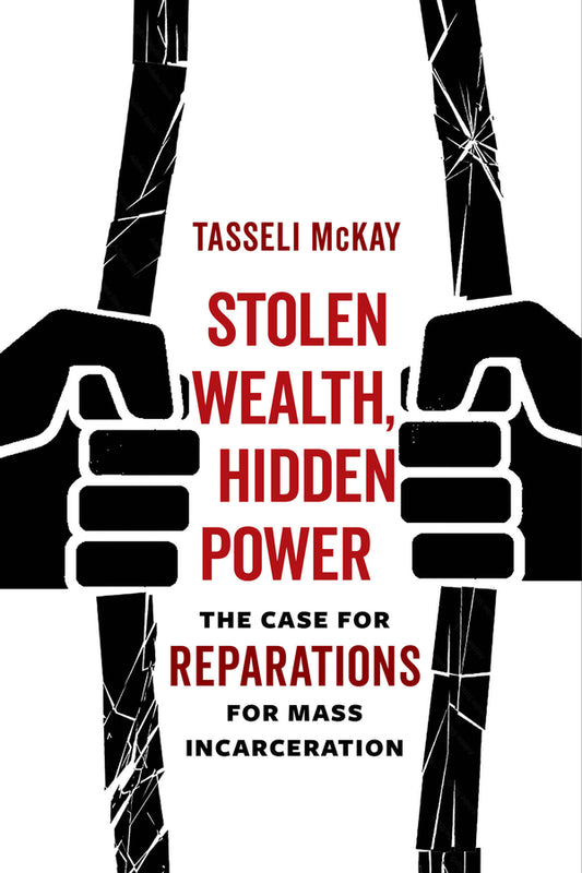 Stolen Wealth, Hidden Power: The Case for Reparations for Mass Incarceration cover