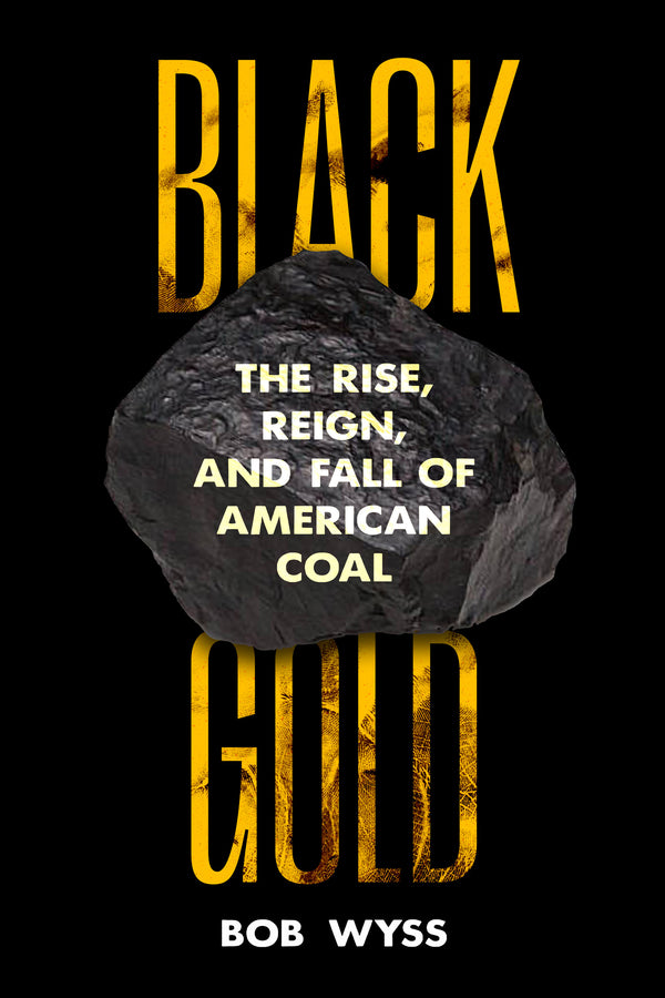 Black Gold: The Rise, Reign, and Fall of American Coal cover