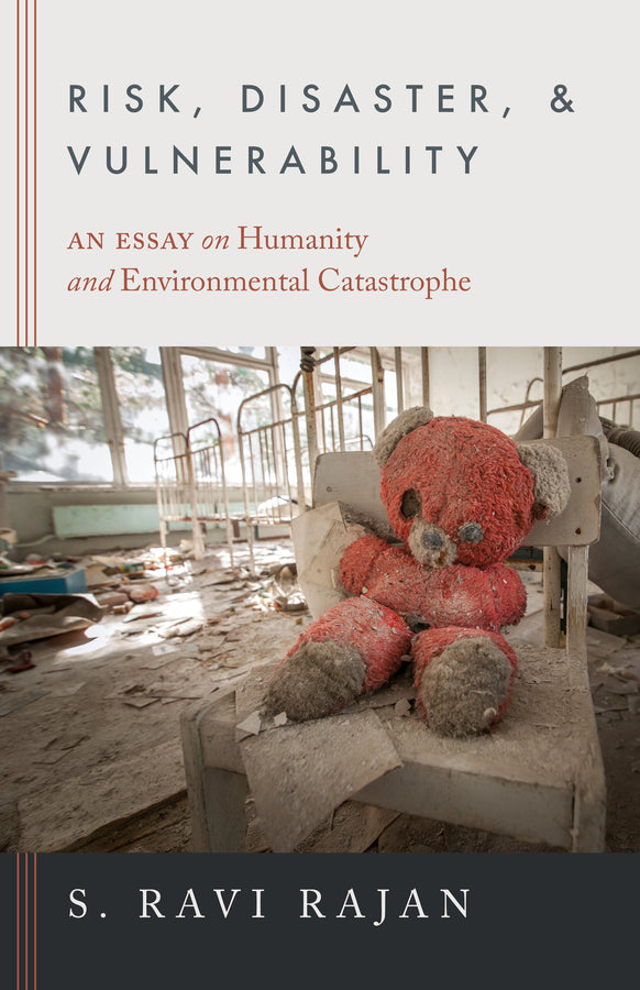 Risk, Disaster, and Vulnerability: An Essay on Humanity and Environmental Catastrophe cover