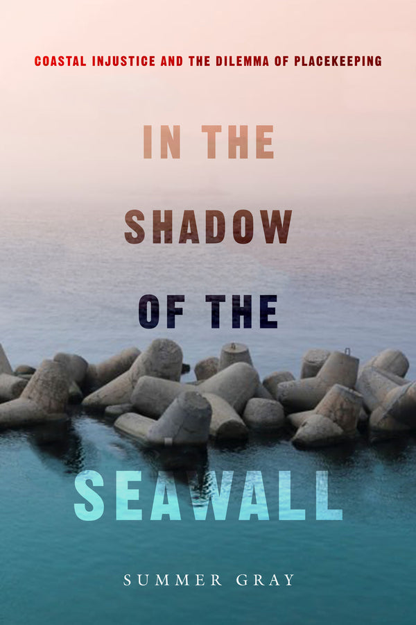 In the Shadow of the Seawall: Coastal Injustice and the Dilemma of Placekeeping cover