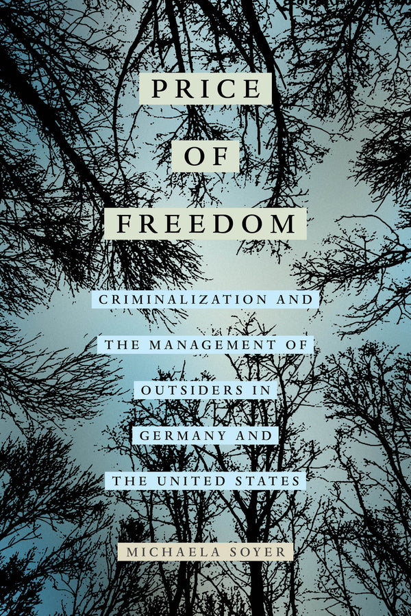 The Price of Freedom: Criminalization and the Management of Outsiders in Germany and the United States cover
