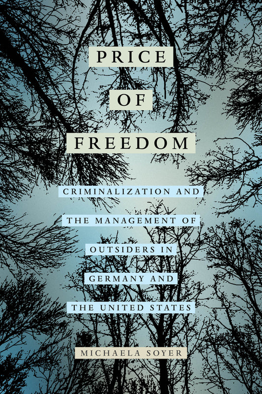 The Price of Freedom: Criminalization and the Management of Outsiders in Germany and the United States cover