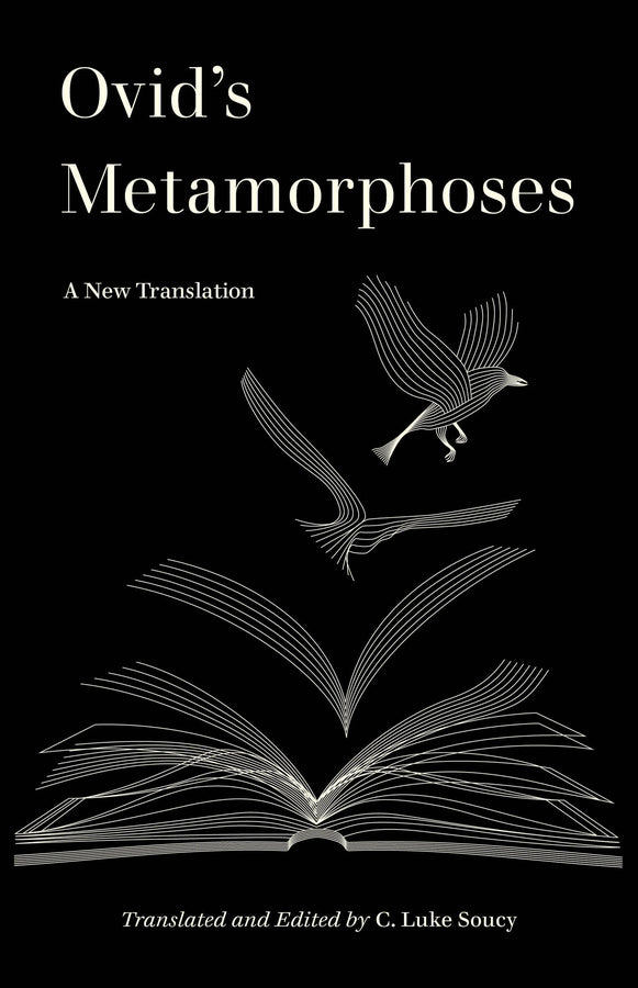 World Literature in Translation cover