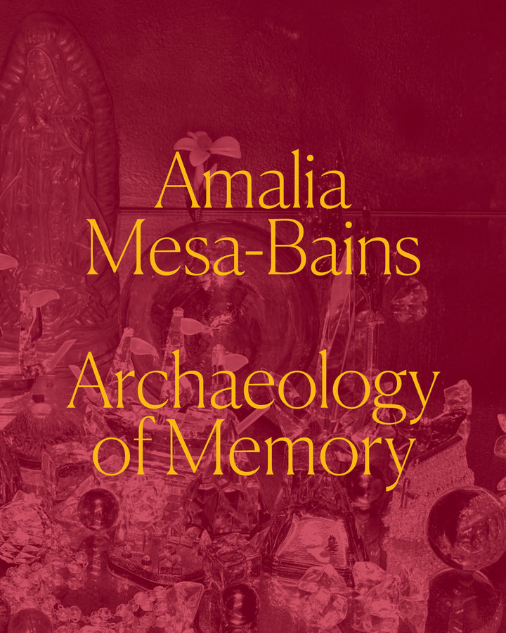 Amalia Mesa-Bains: Archaeology of Memory cover