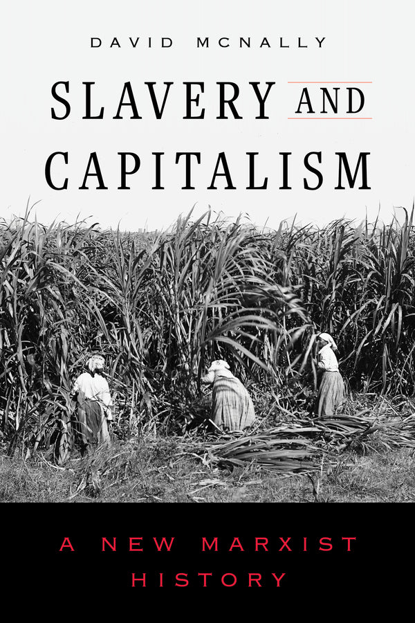 Slavery and Capitalism: A New Marxist History cover